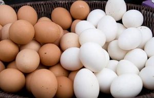 Poultry Farming and Egg Production 